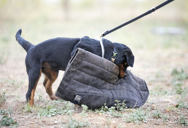 Comment sécuriser les données sensibles lors du transfert vers un nouveau système ERP?